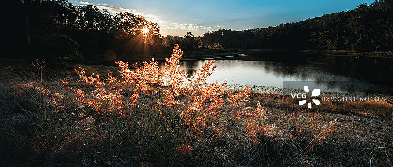 布里斯班上布鲁克菲尔德的黄金溪水库冬季景色图片素材