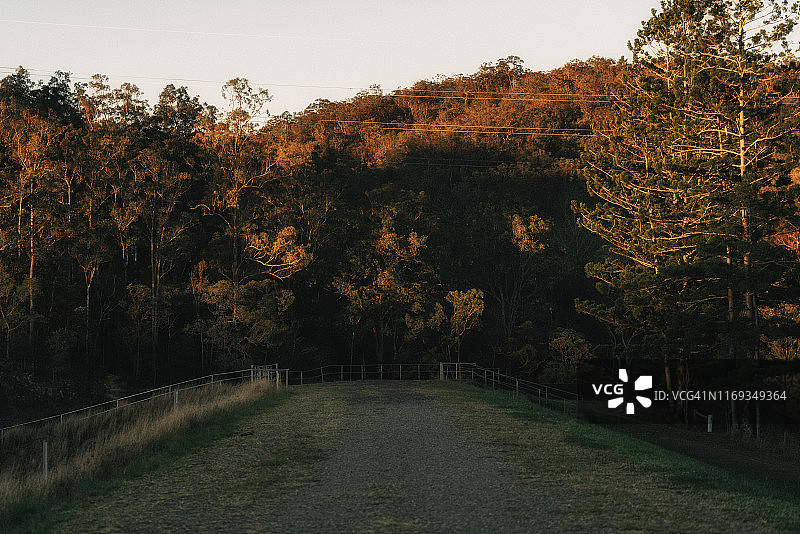 布里斯班布鲁克菲尔德的金色小溪水坝（冬季）图片素材