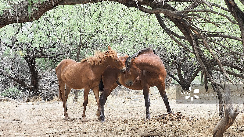 零距离接触图片素材