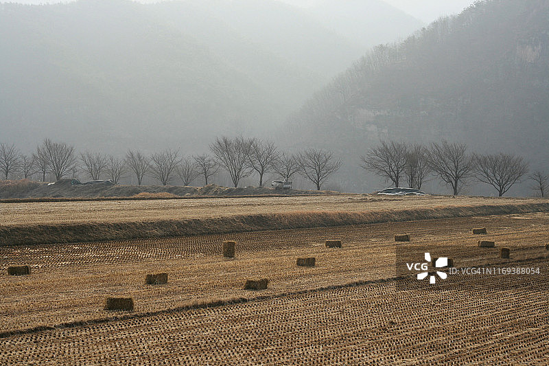 田野上的干草堆与天空图片素材