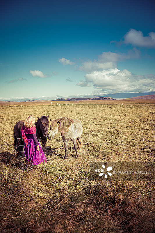 女人在冰岛抚摸两匹马图片素材