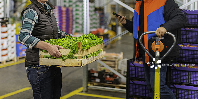 女人手捧一盒生菜图片素材