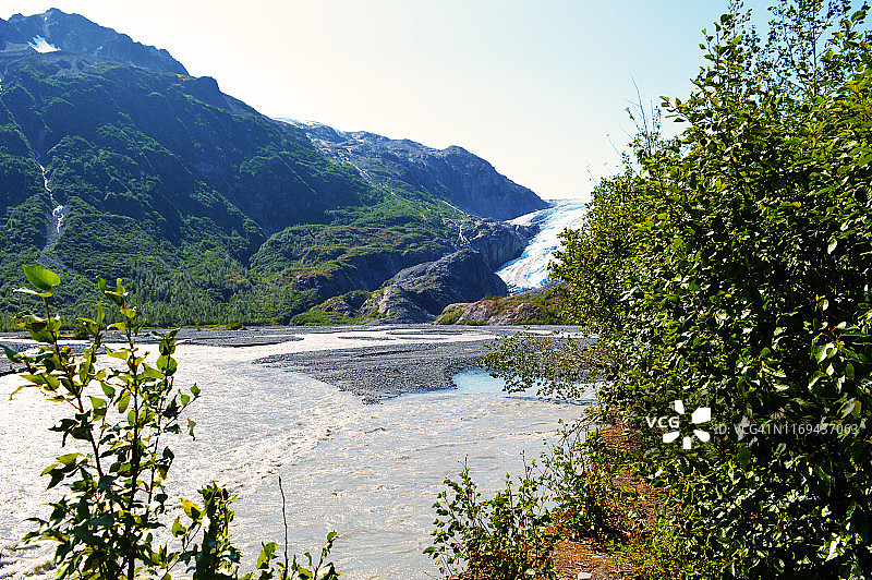 阿拉斯加，基奈峡湾国家公园的出口冰川图片素材