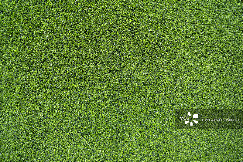 绿草的背景图片素材