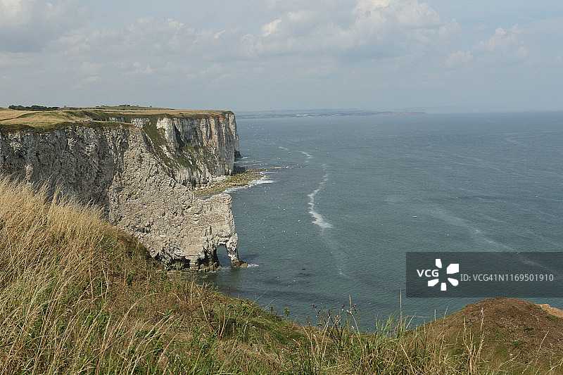 英国约克郡本普顿悬崖海鸟栖息地图片素材