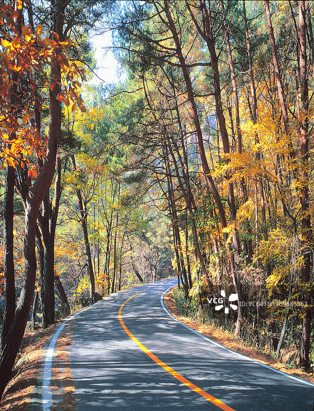 韩国报恩俗离山景观图片素材