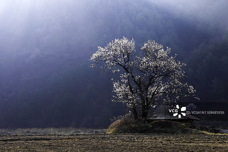 韩国三陟市元德村的四季图片素材