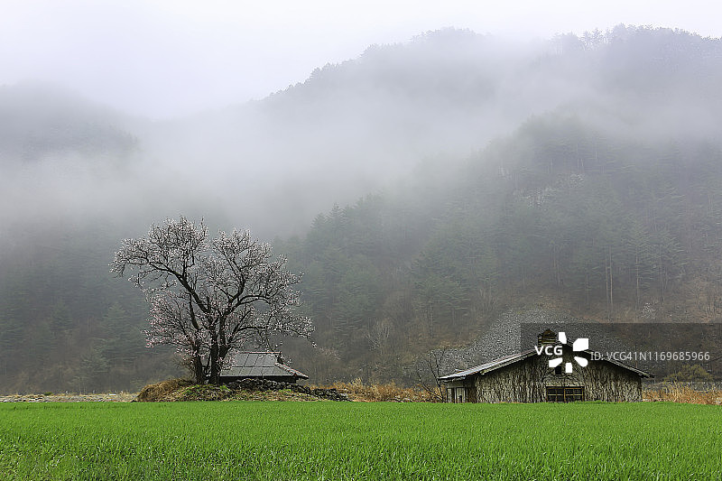 韩国三陟市元德村的四季图片素材