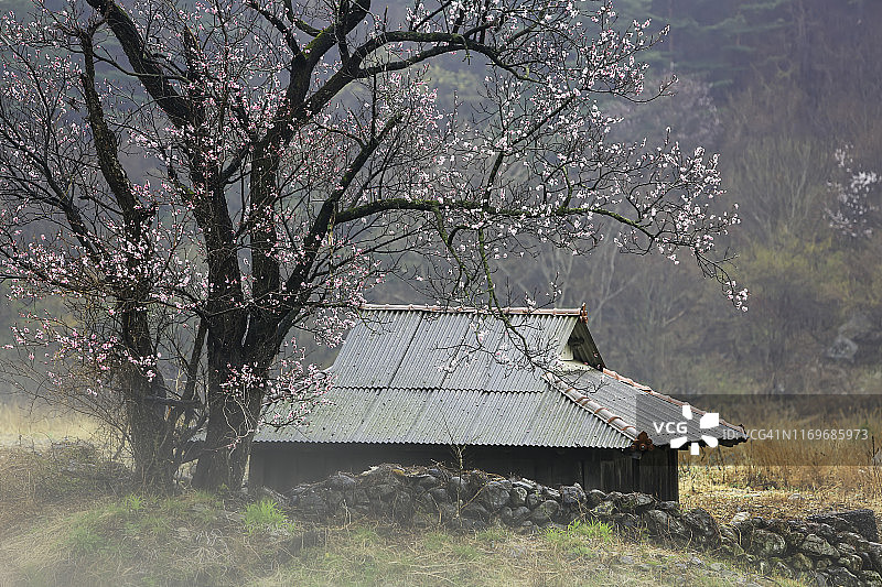 韩国三陟市元德村的四季图片素材