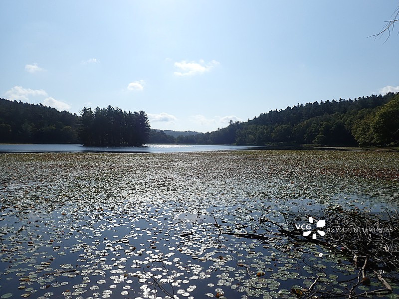 北卡罗来纳州霍利斯普林斯巴斯湖景色图片素材