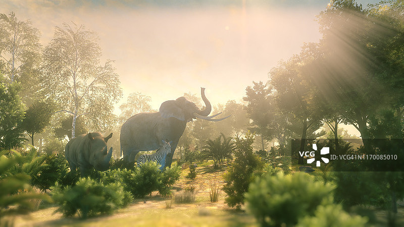 野生动物群图片素材