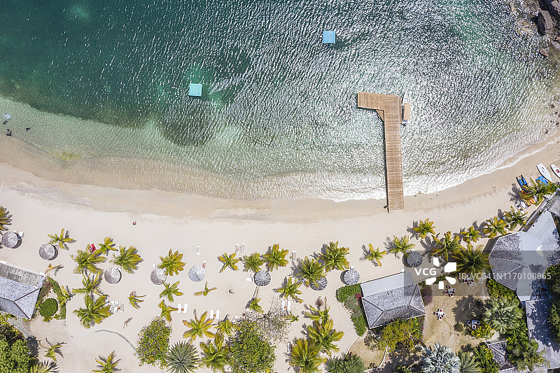 加勒比海棕榈树海滩鸟瞰图片素材
