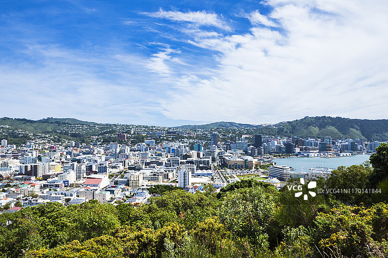 新西兰惠灵顿城市风光图片素材