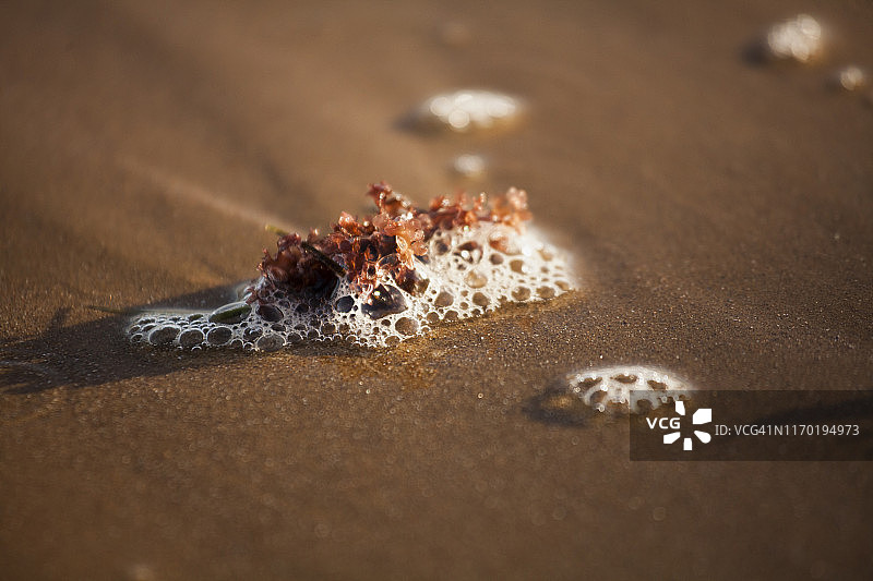 海滩上的漂浮物，南威勒比，墨尔本，维多利亚州，澳大利亚图片素材