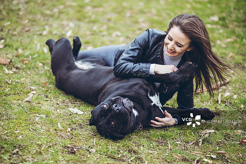 女人和那不勒斯獒犬玩耍图片素材
