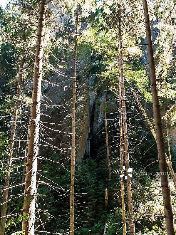 捷克共和国泰普利采附近泰普利采岩石中的砂岩地层图片素材