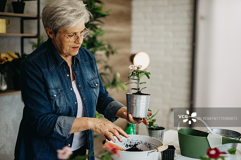 年长的女人种植花卉图片素材