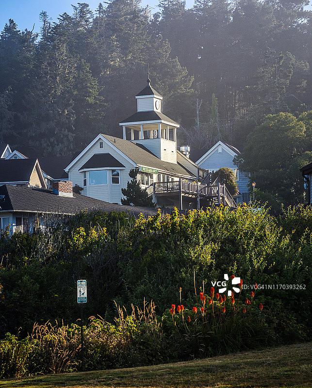 加州红木映衬下的瓜拉拉建筑，位于风景优美的1号高速公路旁图片素材