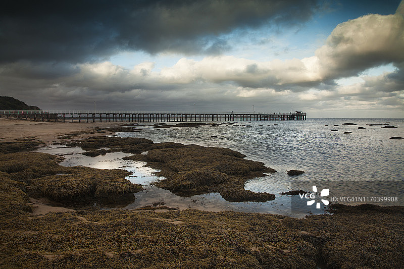 澳大利亚维多利亚州贝拉林半岛隆斯代尔角码头的云彩倒影和海藻岩石图片素材