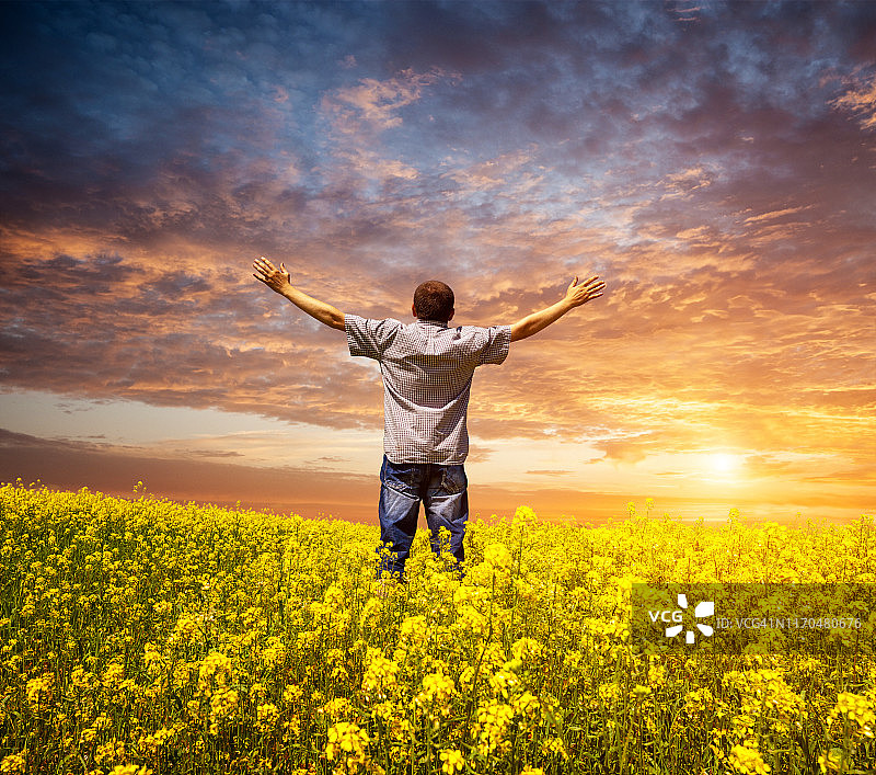 在油菜花田里张开双臂的男人图片素材