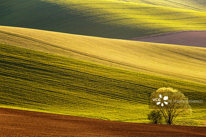 图里埃茨地区斯洛伐克北部的田野树木图片素材