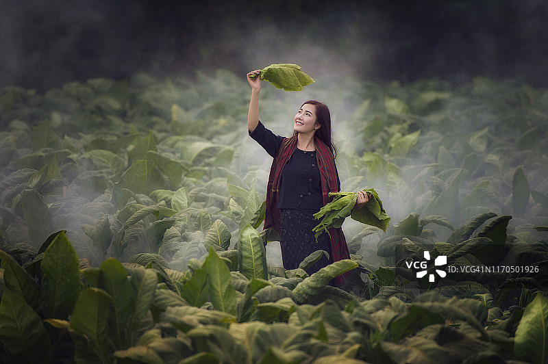 在烟草农场放松身心的老挝美女图片素材