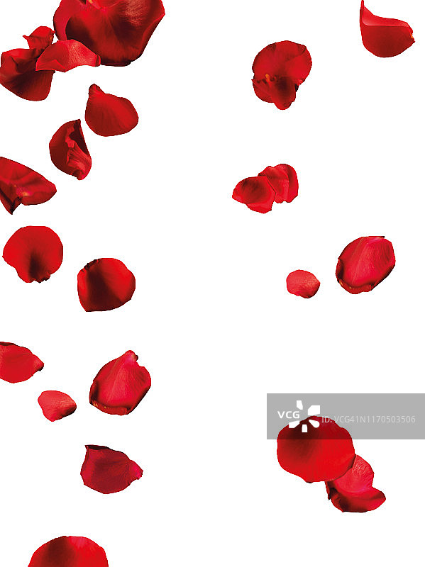 掉落的红色花瓣图片素材