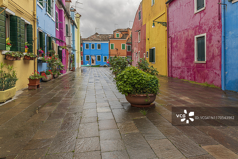 布拉诺彩色岛屿：色彩鲜艳的房屋沿走道排列图片素材