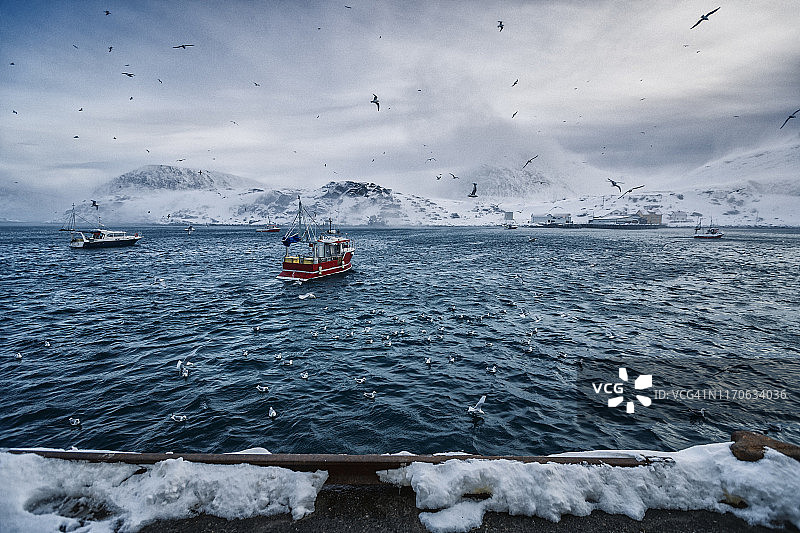 北冰洋鳕鱼捕捞船图片素材