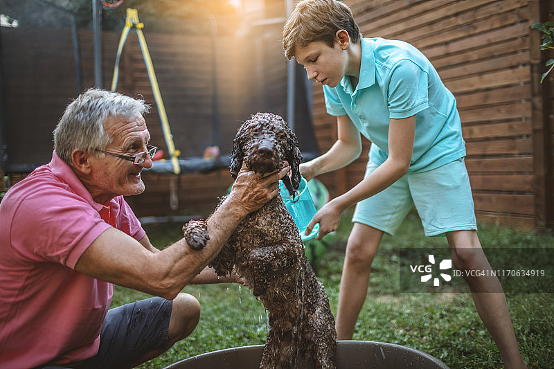 和爷爷一起给狗洗澡图片素材