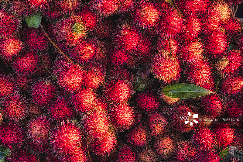 红毛丹果图片素材