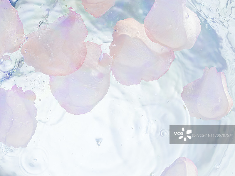 水中淡粉色玫瑰花瓣图片素材
