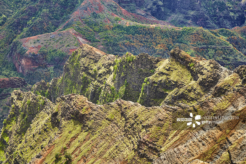 美国夏威夷可爱岛威美亚峡谷州立公园图片素材