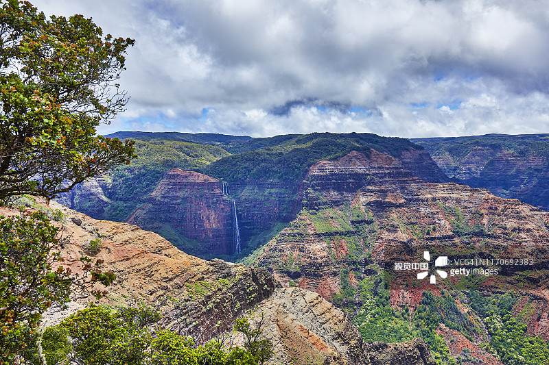 美国夏威夷可爱岛威美亚峡谷州立公园图片素材