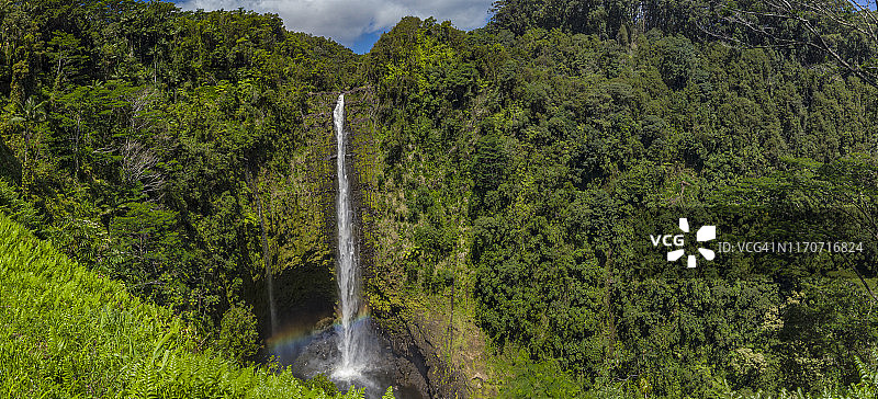 阿卡卡瀑布州立公园的阿卡卡瀑布，美国夏威夷大岛图片素材