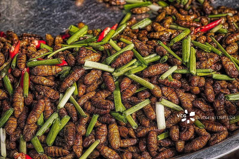 食用蛆虫，可食用昆虫图片素材