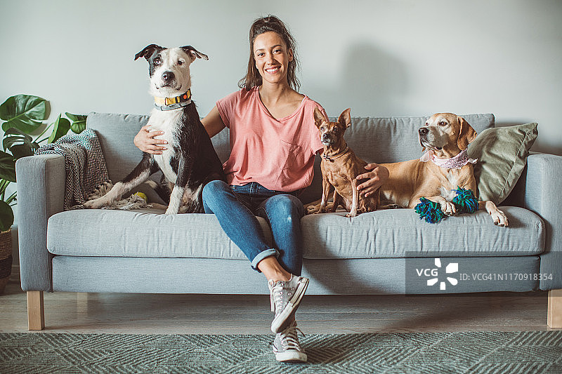 宠物日托图片素材