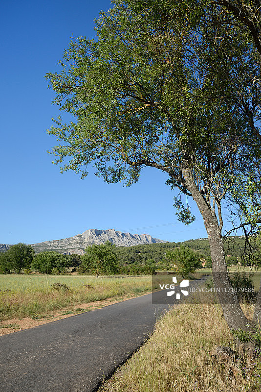 通往圣维克多山或蒙塔涅的乡村公路，法国普罗旺斯艾克斯附近图片素材