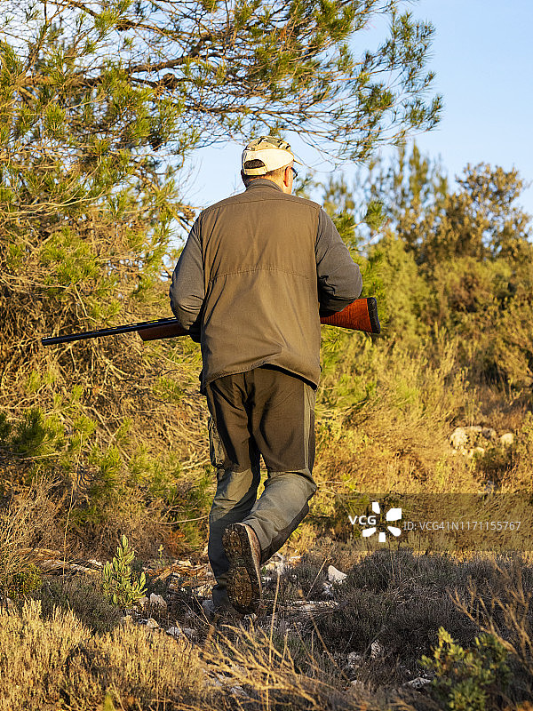 猎人携带猎枪和猎犬在山中猎鹧鸪和兔子图片素材
