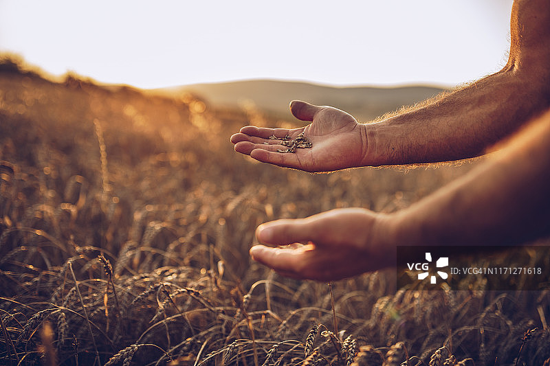 我的珍贵之物图片素材