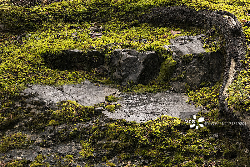 加拿大马琳峡谷长满苔藓的台阶图片素材