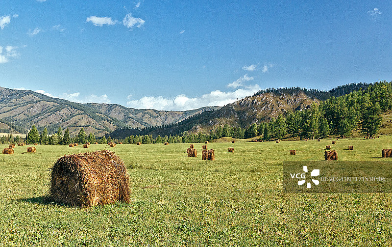 阿勒泰山脉上的干草堆田野图片素材