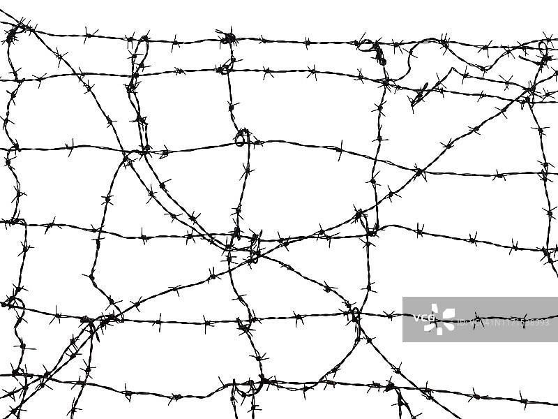 白色背景下的带刺铁丝网图片素材