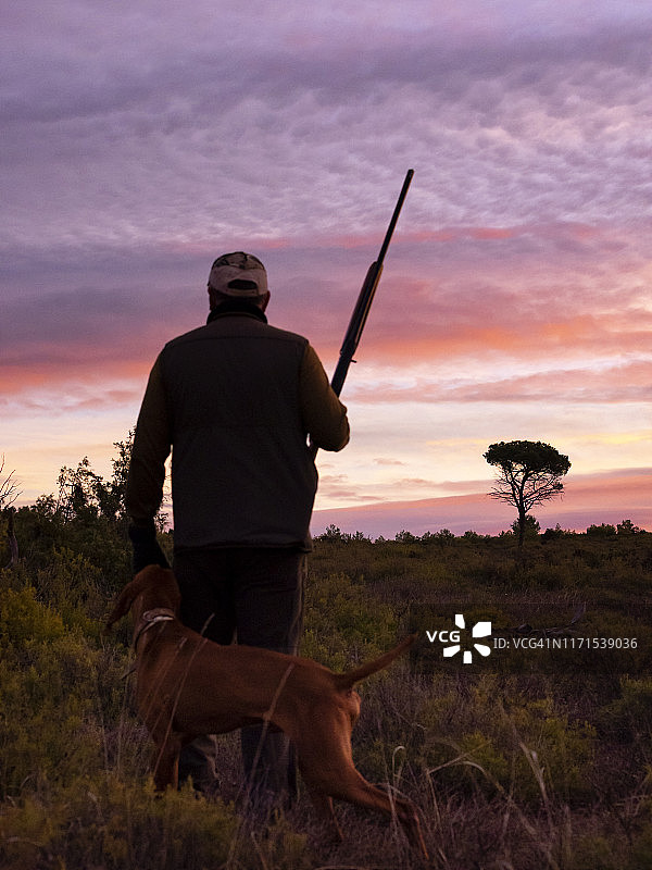 猎人携带猎枪和猎犬在山中猎鹧鸪和兔子图片素材