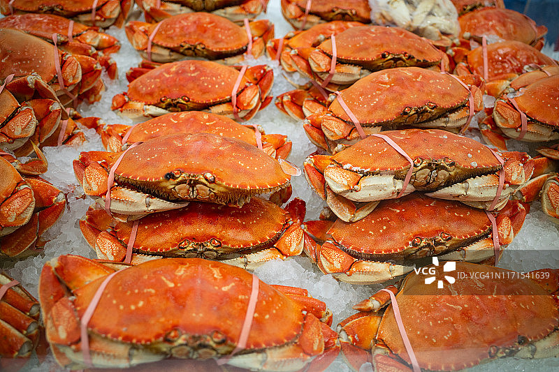 待售的完整熟野生珍宝蟹图片素材
