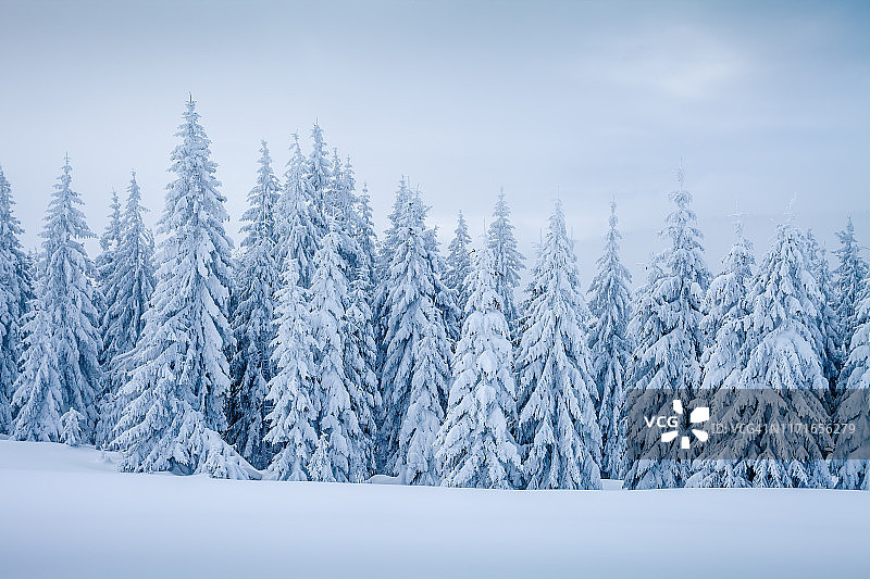 雪山森林图片素材