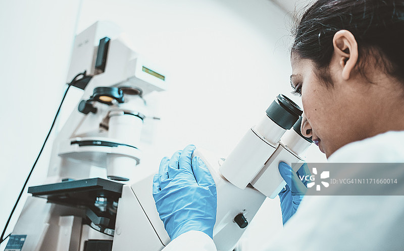 女科学家正在用显微镜观察图片素材