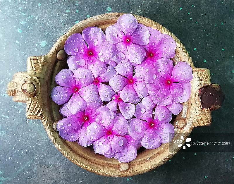 碗中装饰的 زیبا丽长春花献给神灵图片素材