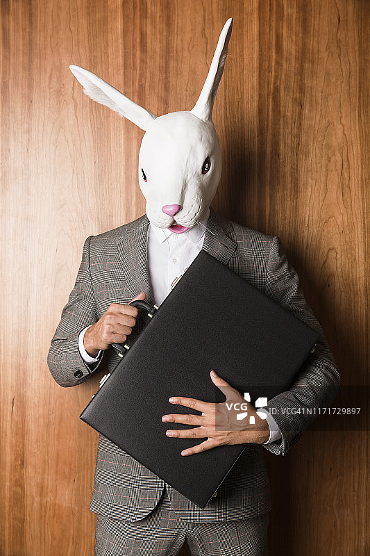 商务兔子图片素材