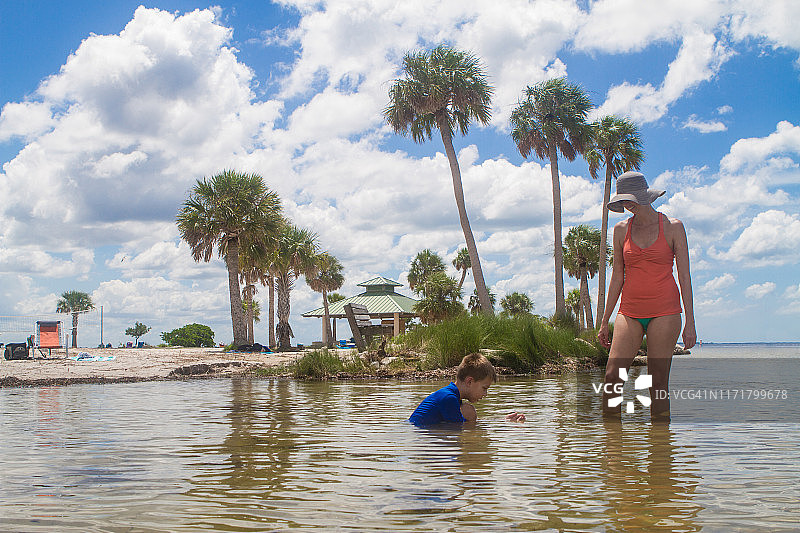海滩的一天图片素材